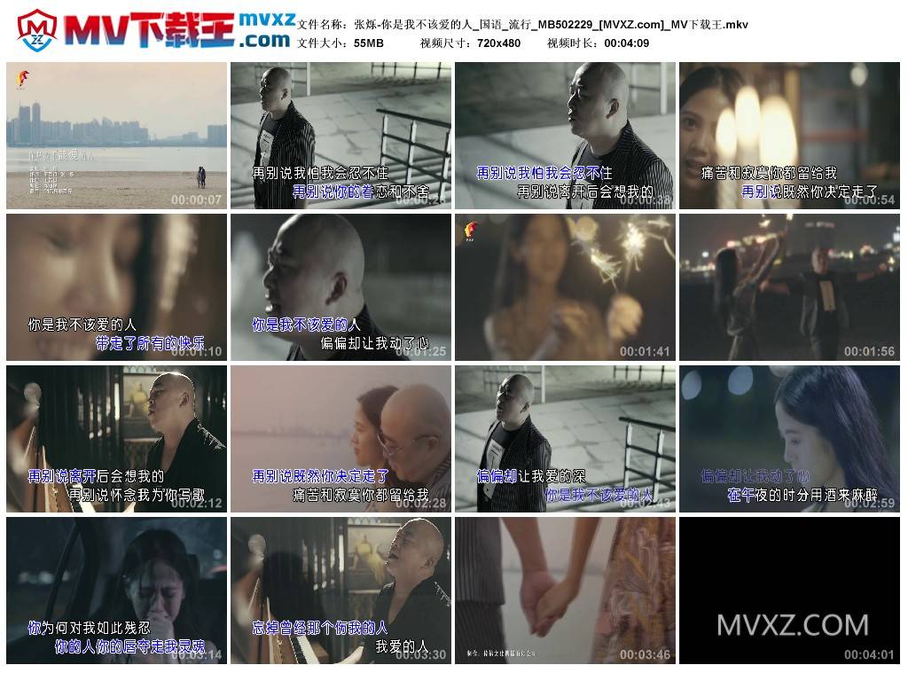 张烁-你是我不该爱的人_国语_流行_MB502229